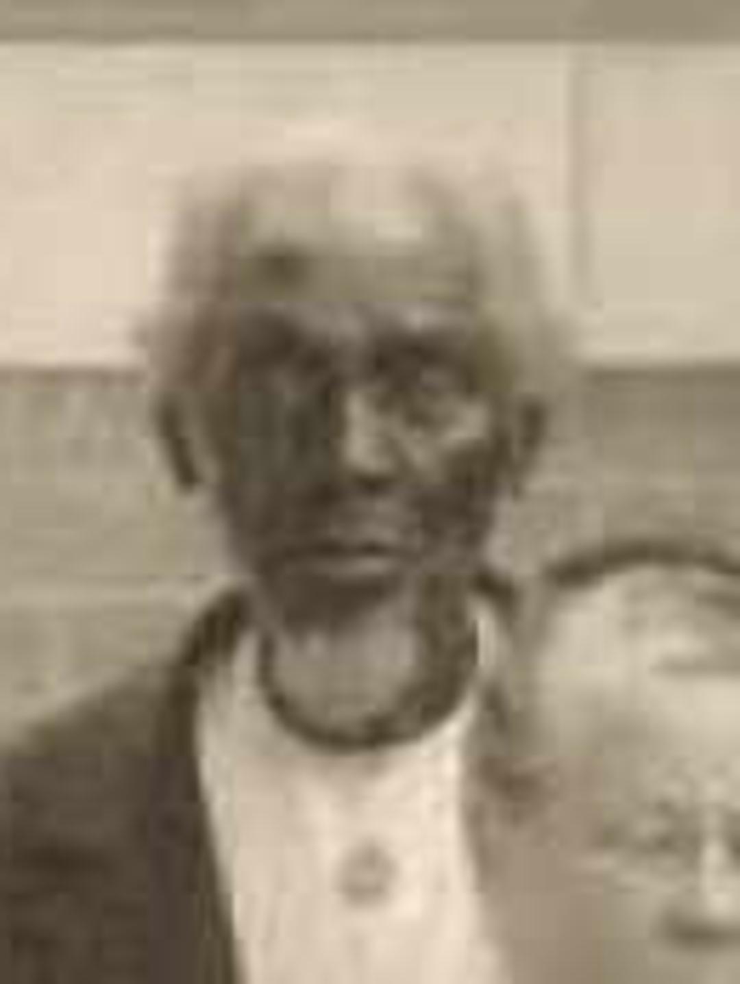 Sylvester James (1838 - 1920) Profile